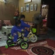 Shahiena