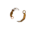 Lxng
