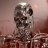 skynet788